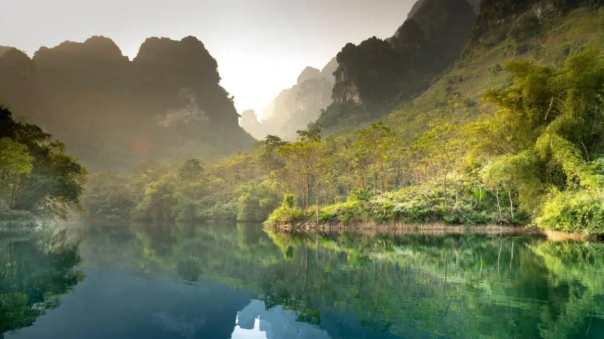 高效高标准环保